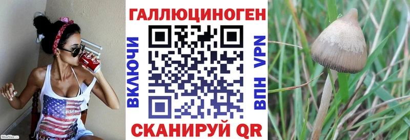 гидра tor  Ноябрьск  Галлюциногенные грибы прущие грибы 