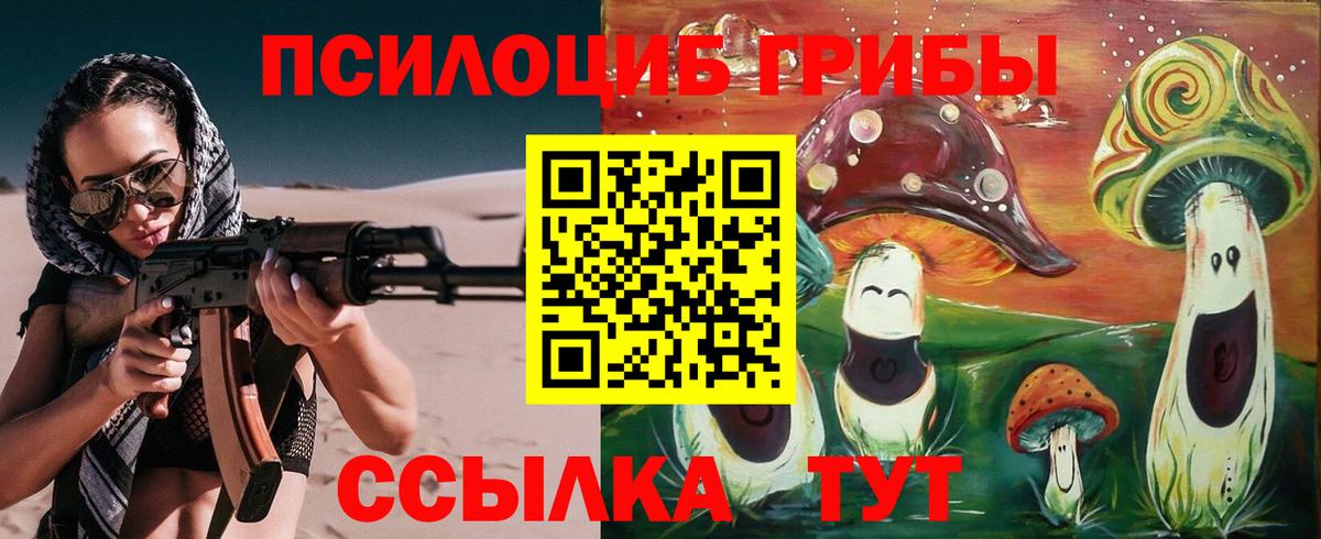 Галлюциногенные грибы Magic Shrooms  Вход с VPN  Ноябрьск  купить закладку  Псилоцибиновые грибы мицелий 